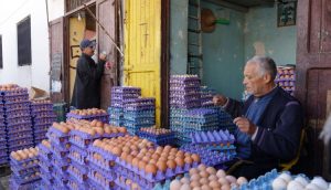 ارتفاع أسعار البيض مجددا يثير استياء المواطنين وسط مطالب بضبط الأسواق